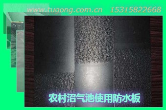 農(nóng)村沼氣池使用防水板