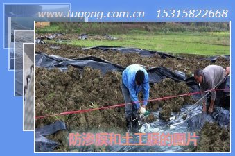 防滲膜和土工膜的圖片
