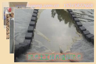BĤB(yng)ֳĤB