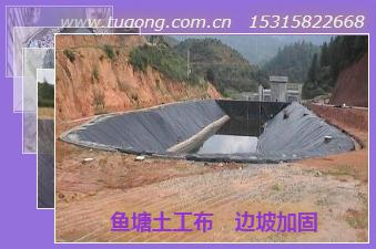 魚塘土工布 邊坡加固