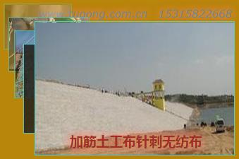 加筋土工布針刺無(wú)紡布