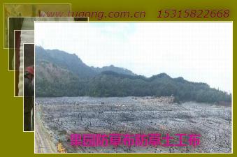果園防草布防草土工布