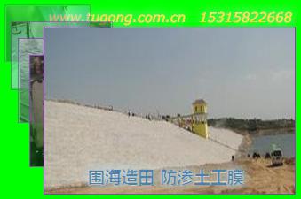 圍海造田 防滲土工膜