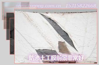 防滲土工膜前景非常好