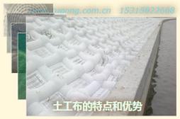 土工布的特點(diǎn)和優(yōu)勢(shì)