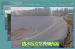 防水板應(yīng)急處理預(yù)案