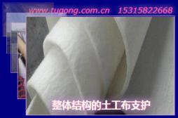 整體結(jié)構(gòu)的土工布支護(hù)