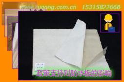 政策支持對(duì)防水板的影響