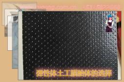 彈性體土工膜胎體的選擇