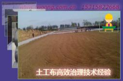 土工布高效治理技術經驗