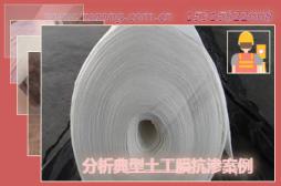 分析典型土工膜抗?jié)B案例